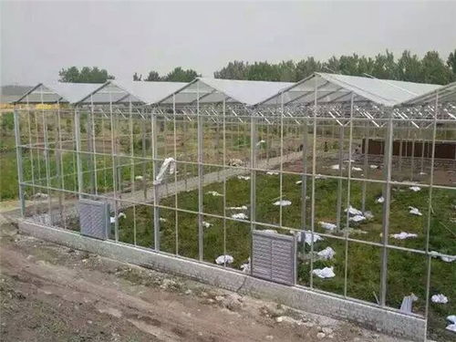 玻璃溫室造價、材料及配套設(shè)施設(shè)計(jì)解析