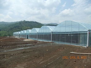 選擇睿農(nóng)溫室大棚設(shè)備 廣西大棚配件廠家的專業(yè)優(yōu)勢與價格指南