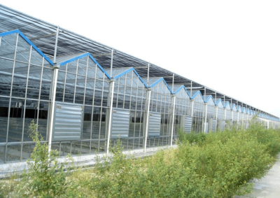 連棟玻璃溫室為何備受青睞 探析其材料選擇與配套設施設計的優勢